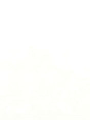 ZERONINE - DRK MTR CARBON RACE FRAME