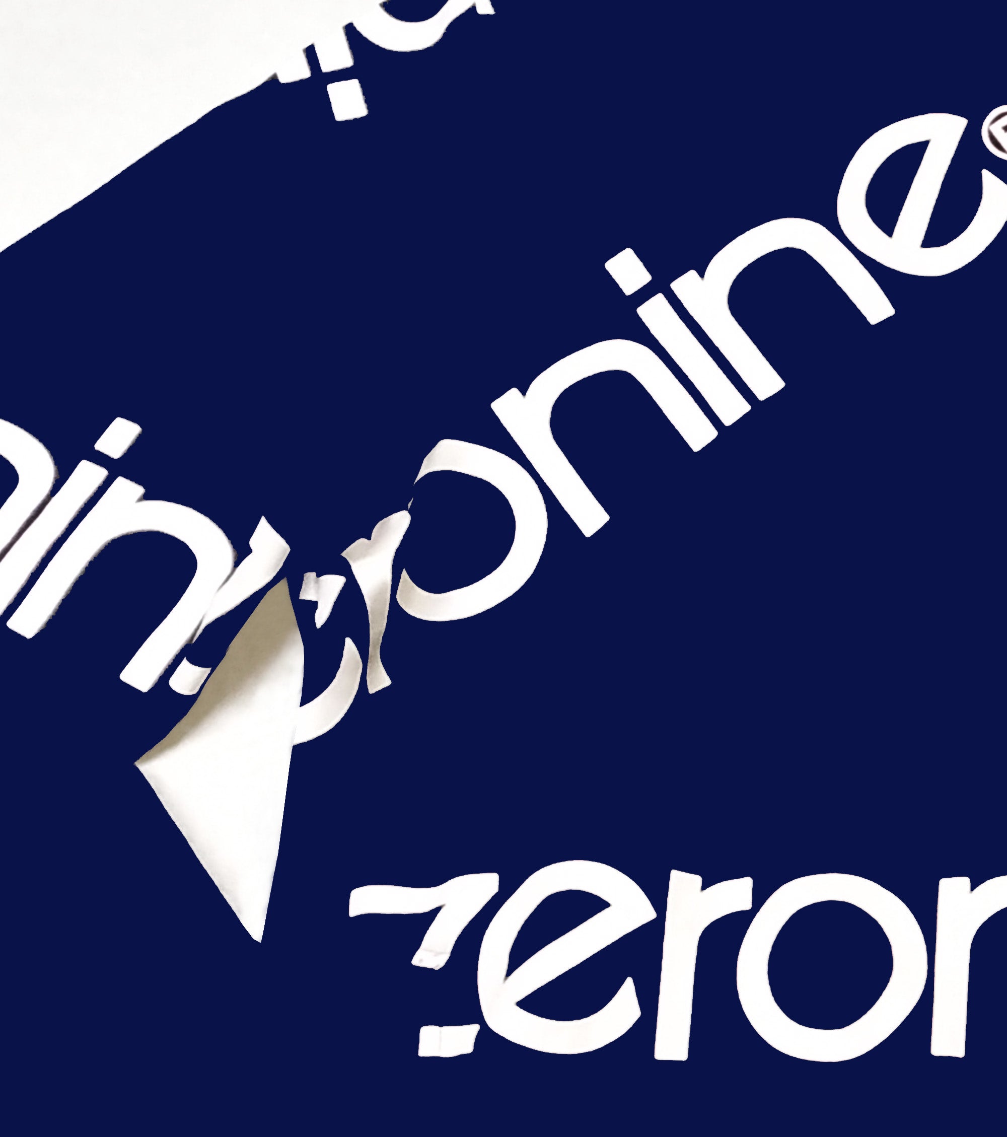 ZERONINE LOGO HOODIE
